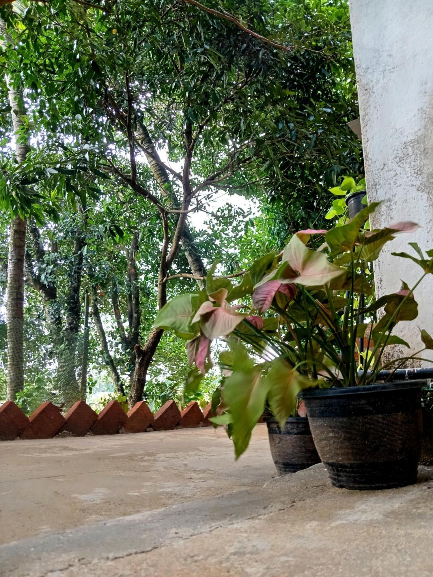 Fly Infinity - Home Stay Kandy Buitenkant foto