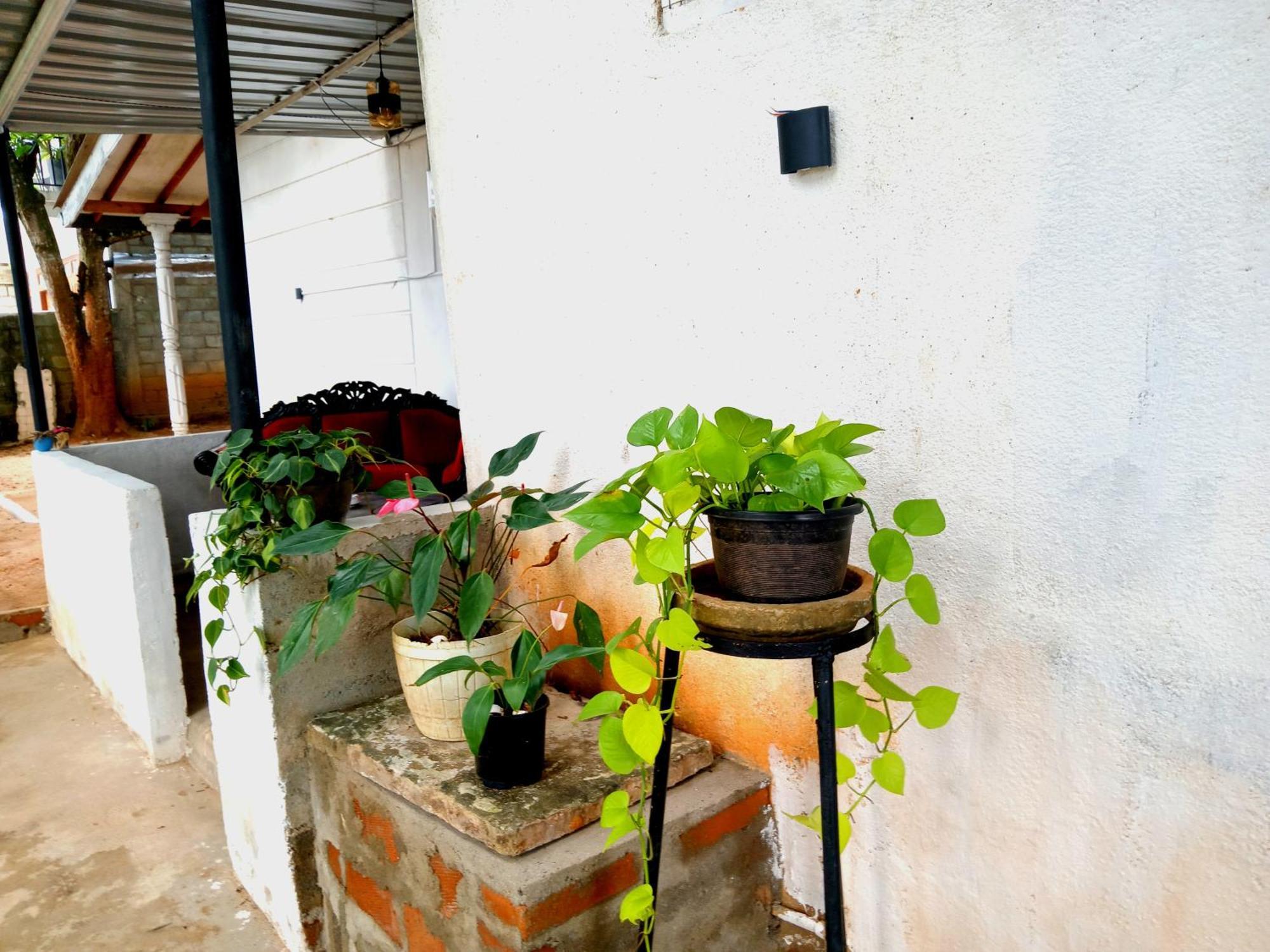 Fly Infinity - Home Stay Kandy Buitenkant foto