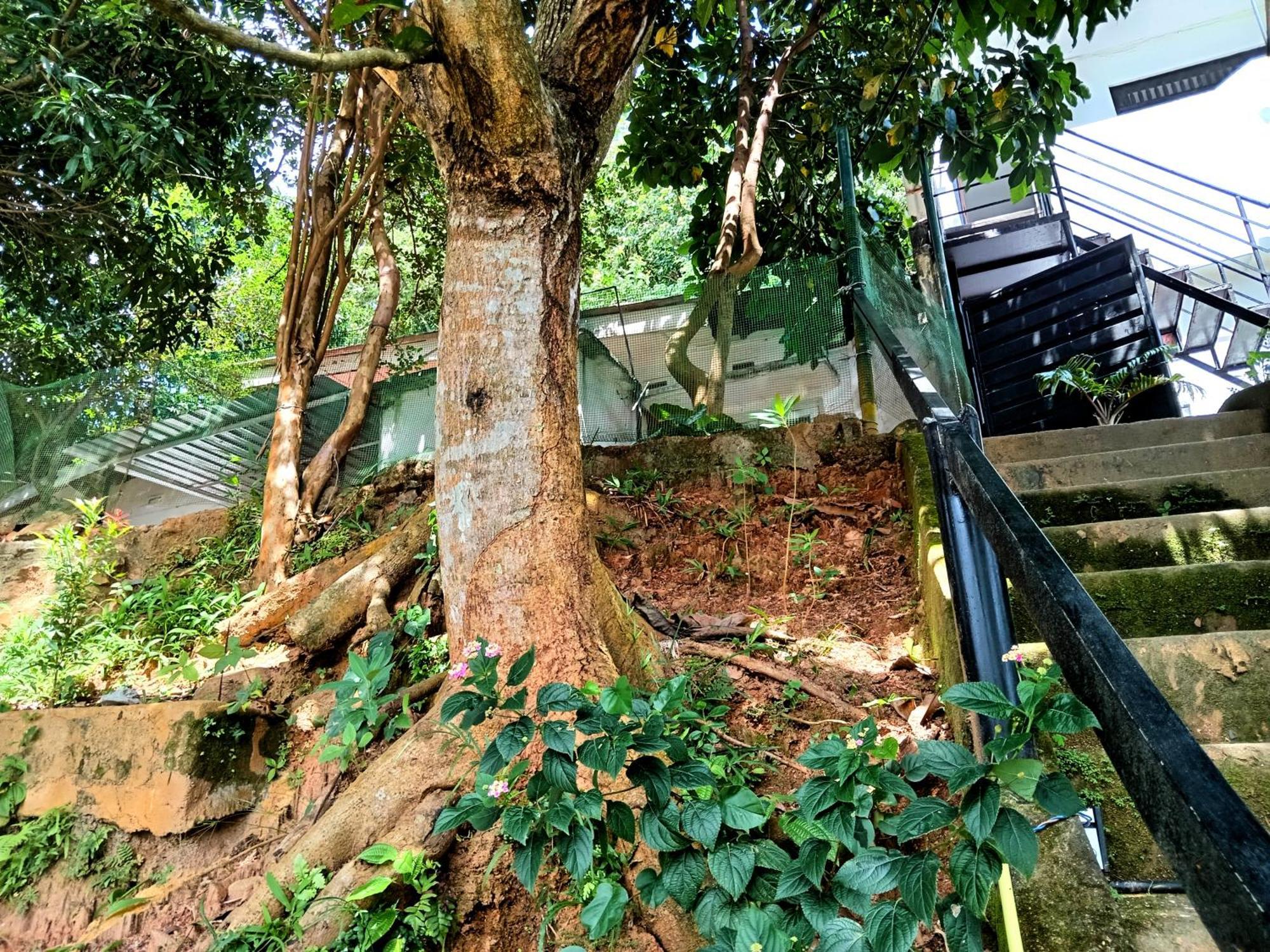 Fly Infinity - Home Stay Kandy Buitenkant foto
