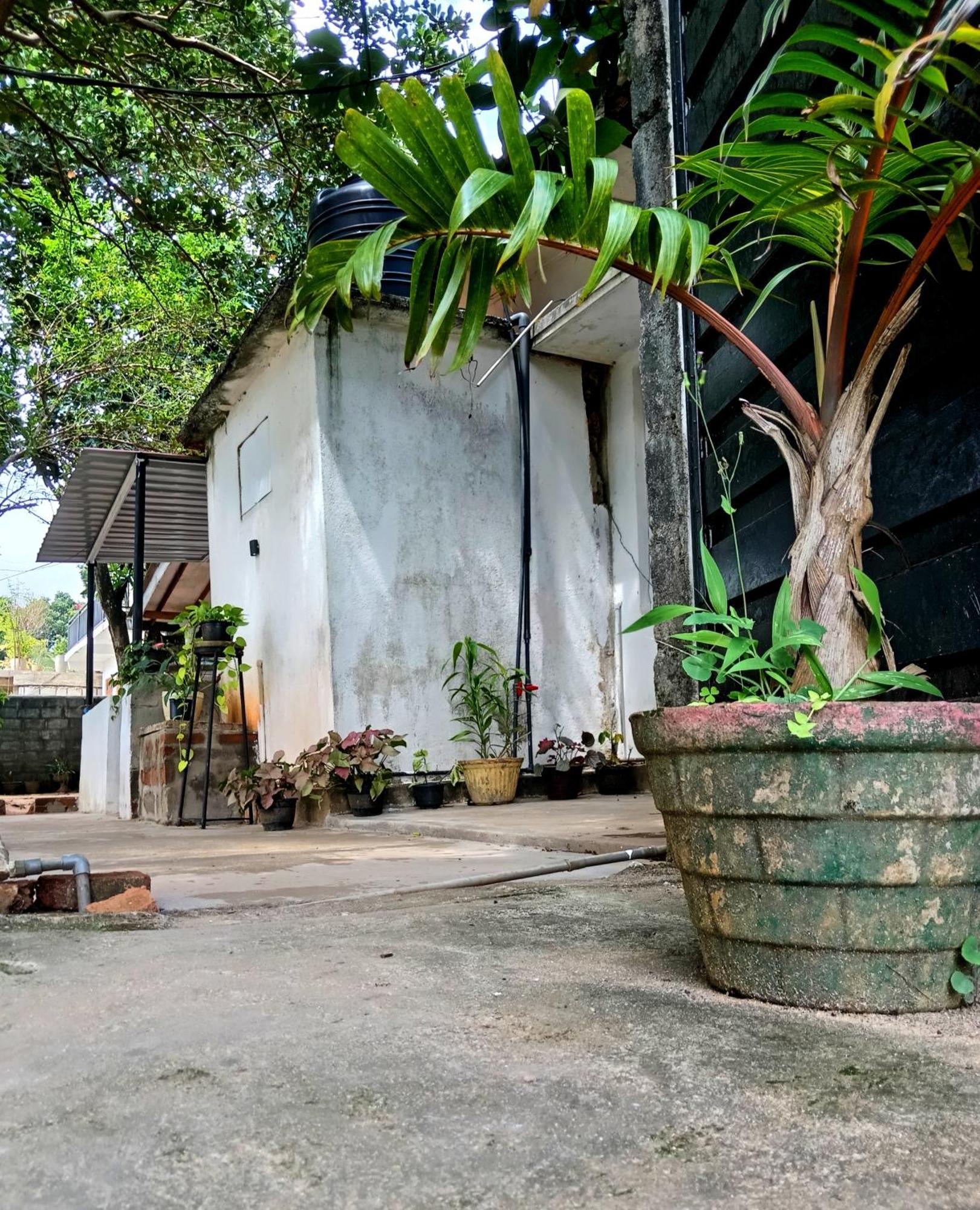 Fly Infinity - Home Stay Kandy Buitenkant foto