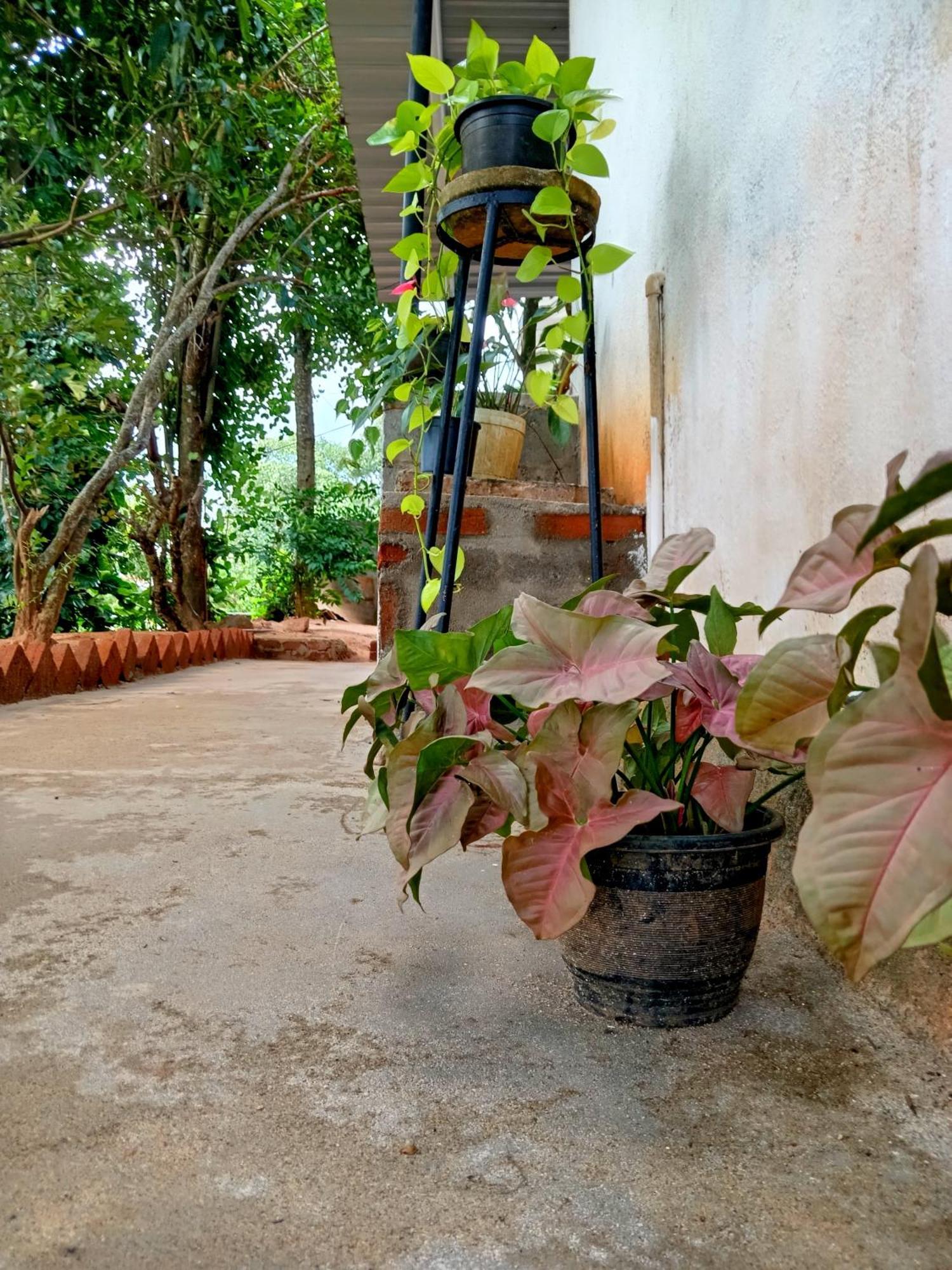 Fly Infinity - Home Stay Kandy Buitenkant foto