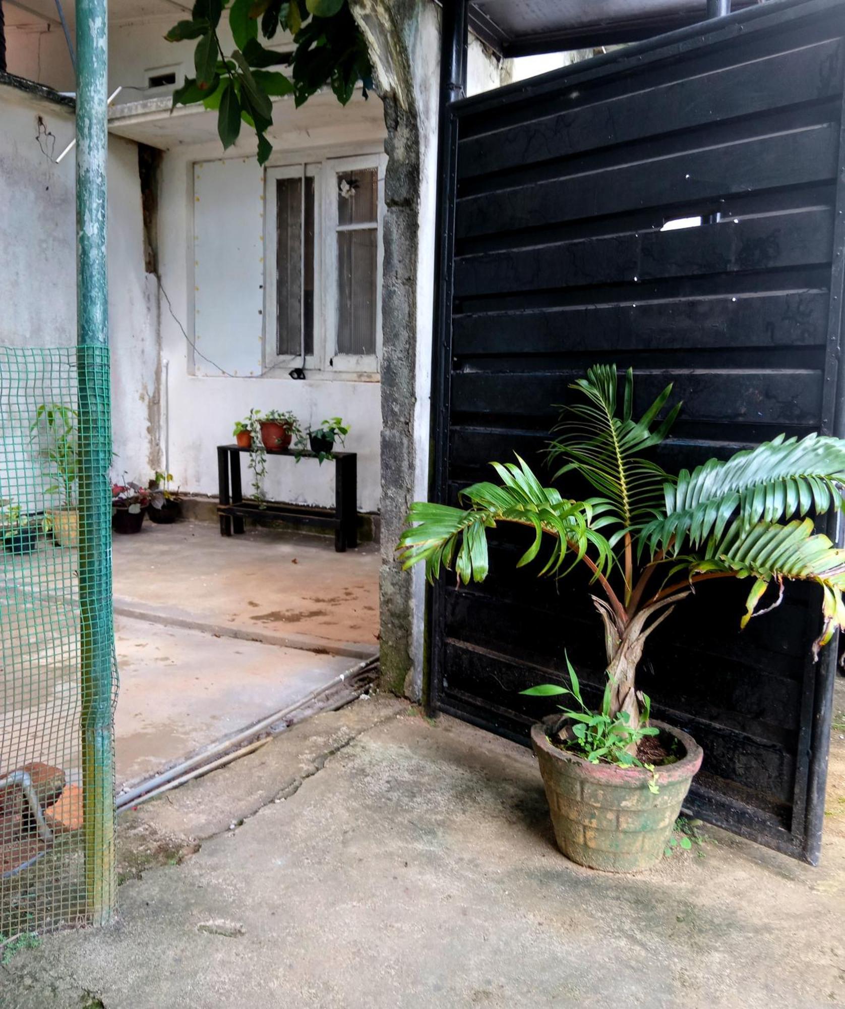 Fly Infinity - Home Stay Kandy Buitenkant foto
