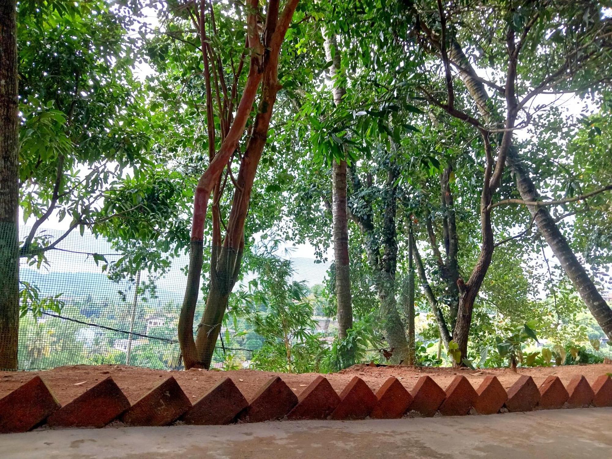 Fly Infinity - Home Stay Kandy Buitenkant foto